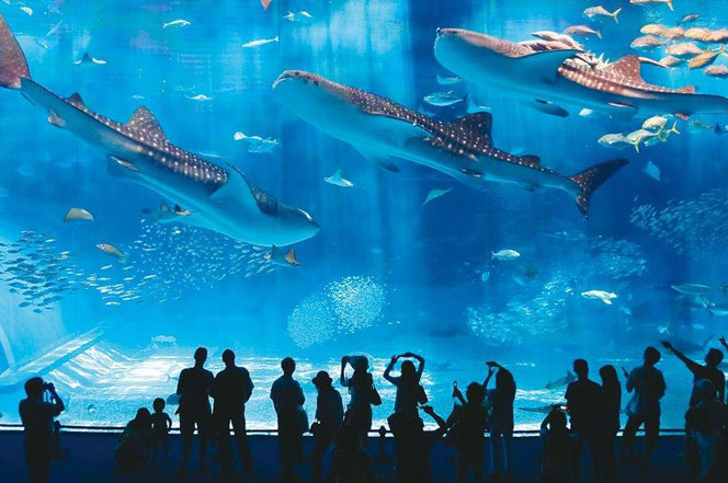 Florya Mall & Aquarium